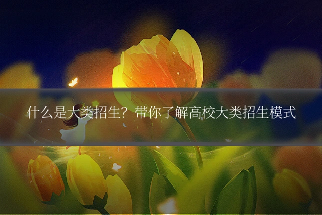 什么是大类招生?带你了解高校大类招生模式