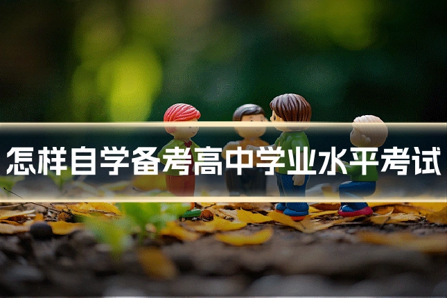 怎样自学备考高中学业水平考试