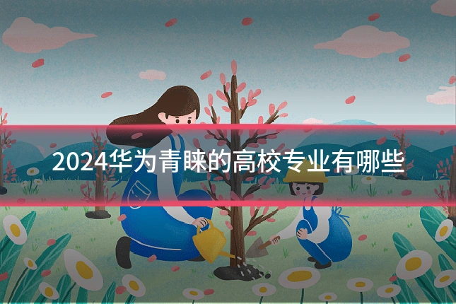2024华为青睐的高校专业有哪些