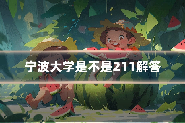 宁波大学是不是211解答