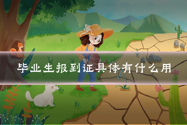 毕业生报到证具体有什么用
