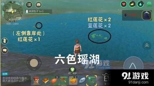 创造与魔法蓝莲花位置说明