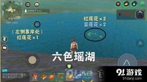 创造与魔法蓝莲花刷新地点教程