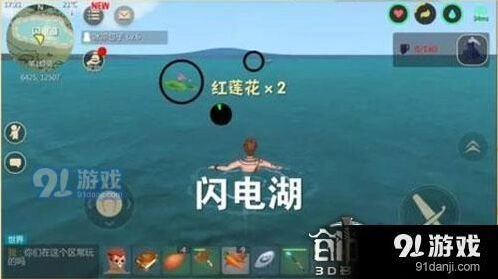 创造与魔法红莲花位置分布完全教程