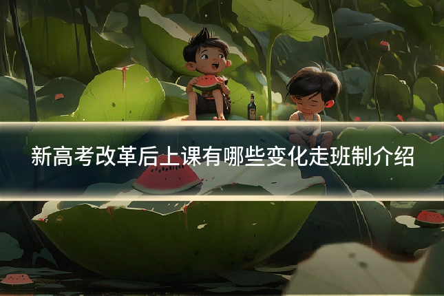 新高考改革后上课有哪些变化走班制介绍