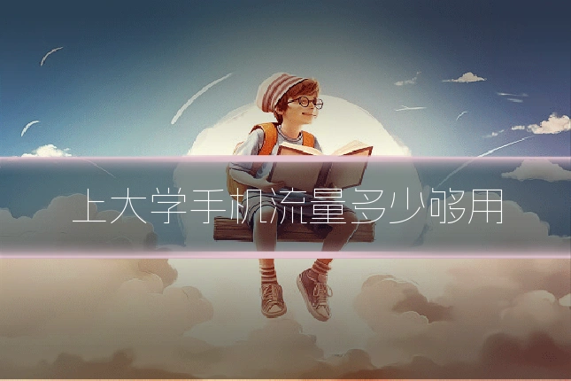 上大学手机流量多少够用