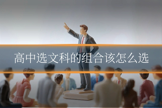 高中选文科的组合该怎么选