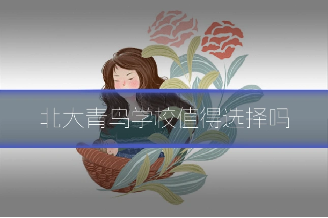 北大青鸟学校值得选择吗