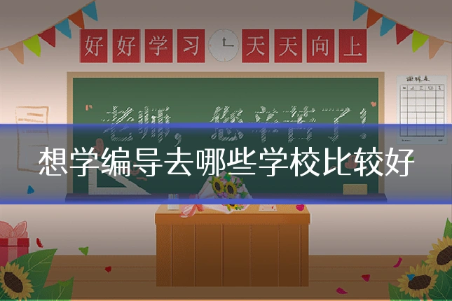想学编导去哪些学校比较好