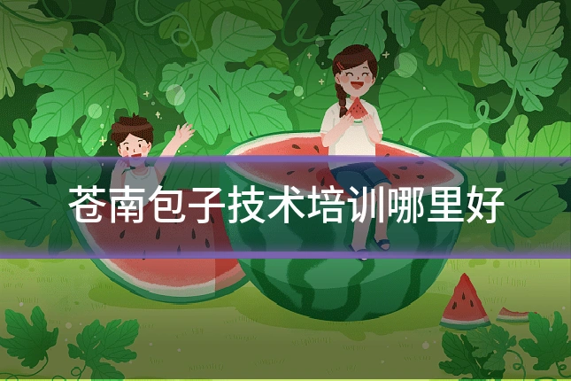 苍南包子技术培训哪里好