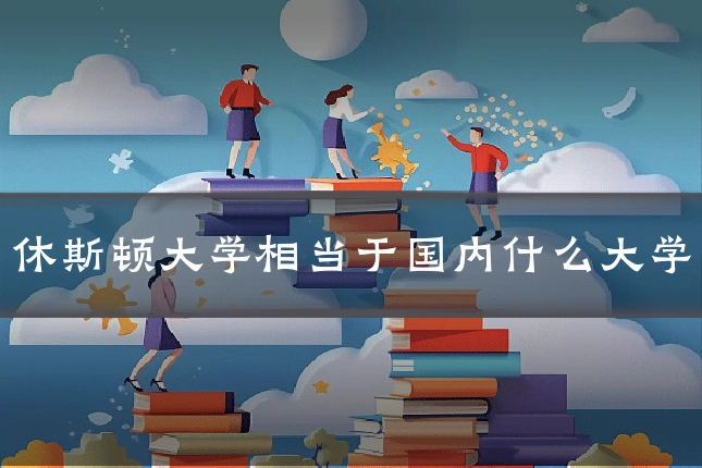 休斯顿大学相当于国内什么大学