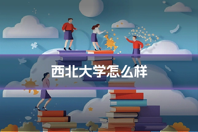 西北大学怎么样