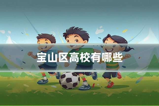 宝山区高校有哪些