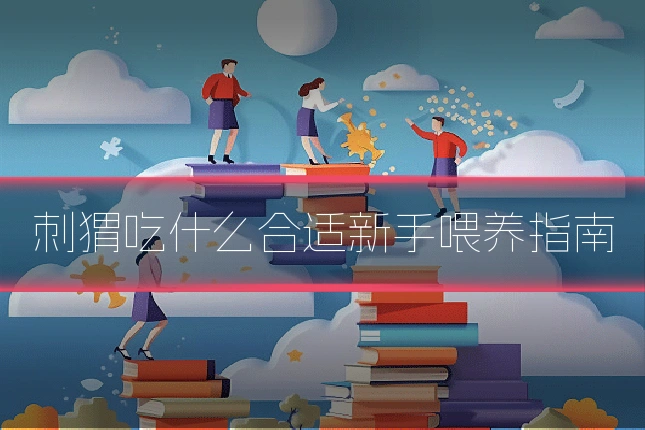 刺猬吃什么合适新手喂养指南