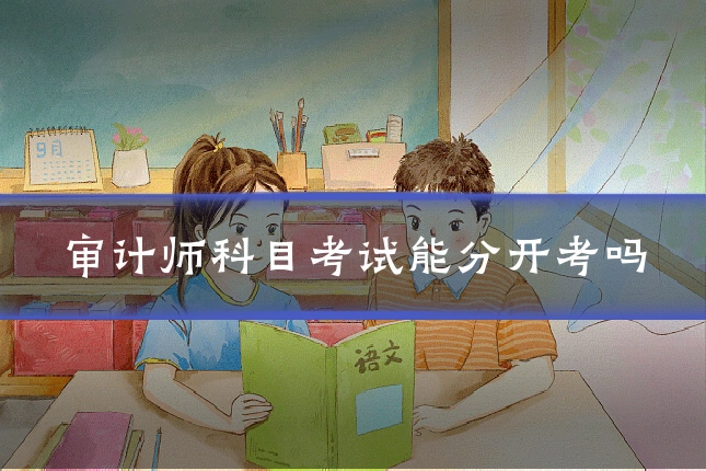 审计师科目考试能分开考吗