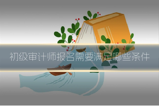 初级审计师报名需要满足哪些条件