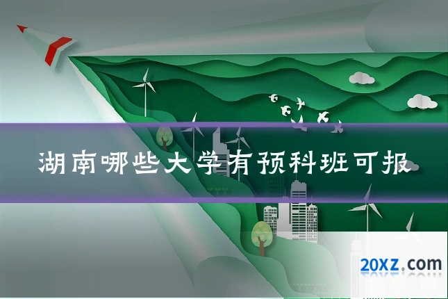 湖南哪些大学有预科班可报