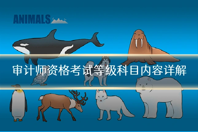 审计师资格考试等级科目内容详解