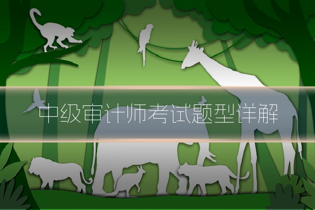 中级审计师考试题型详解