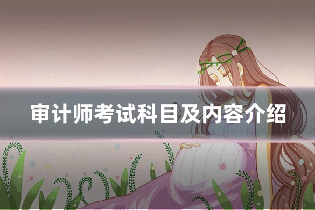 审计师考试科目及内容介绍