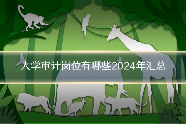 大学审计岗位有哪些2024年汇总