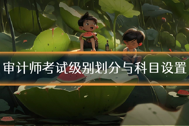 审计师考试级别划分与科目设置