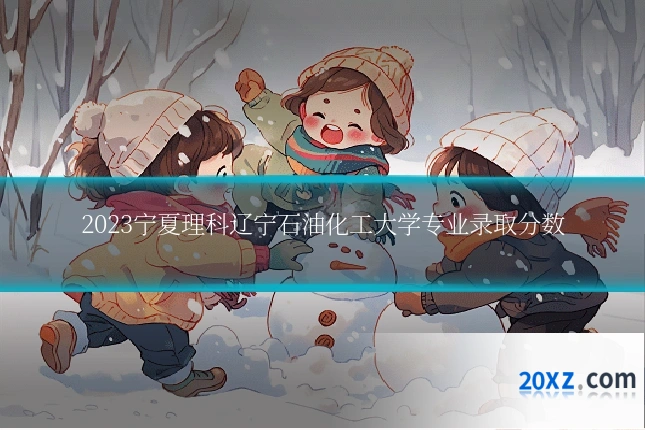 2023宁夏理科辽宁石油化工大学专业录取分数