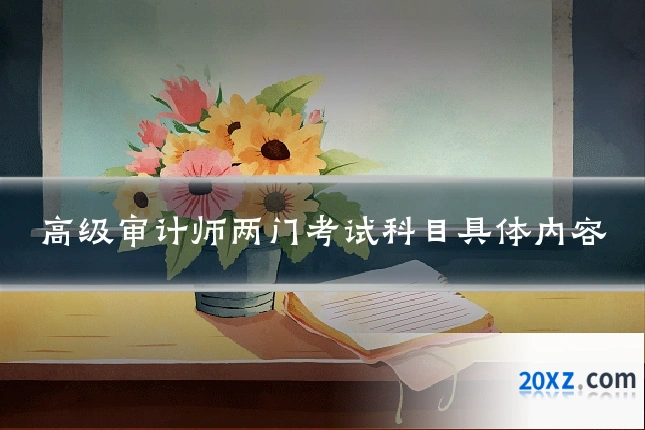 高级审计师两门考试科目具体内容