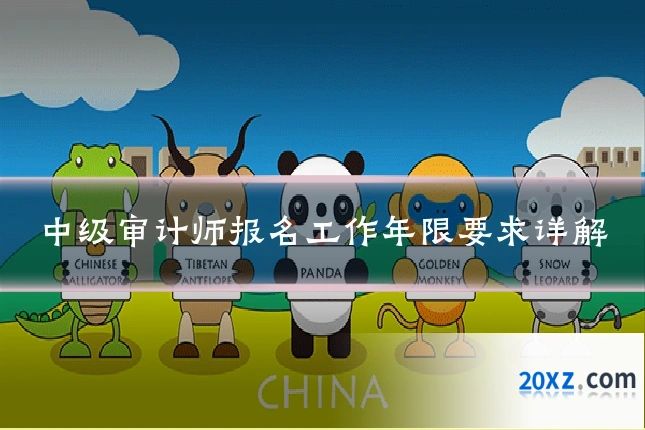 中级审计师报名工作年限要求详解