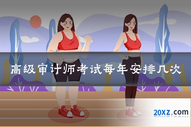 高级审计师考试每年安排几次