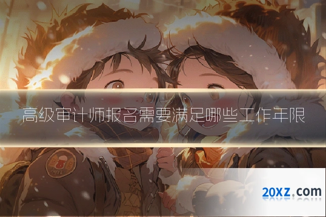 高级审计师报名需要满足哪些工作年限