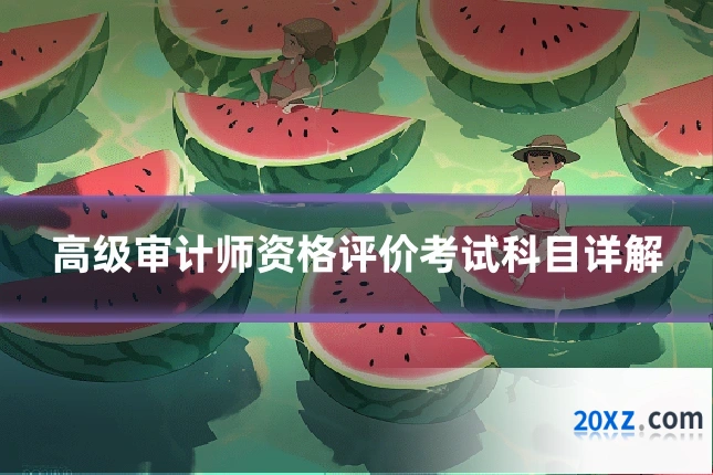 高级审计师资格评价考试科目详解
