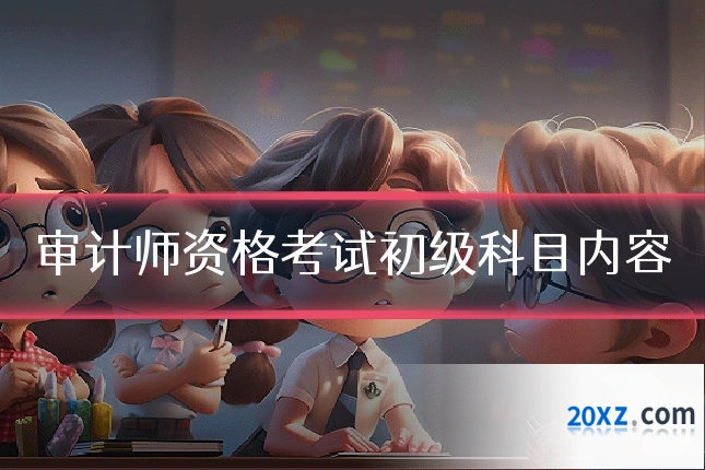 审计师资格考试初级科目内容