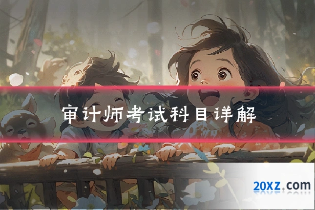 审计师考试科目详解