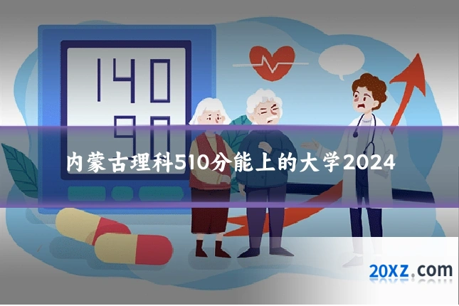 内蒙古理科510分能上的大学2024