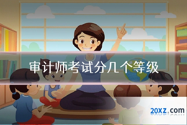 审计师考试分几个等级