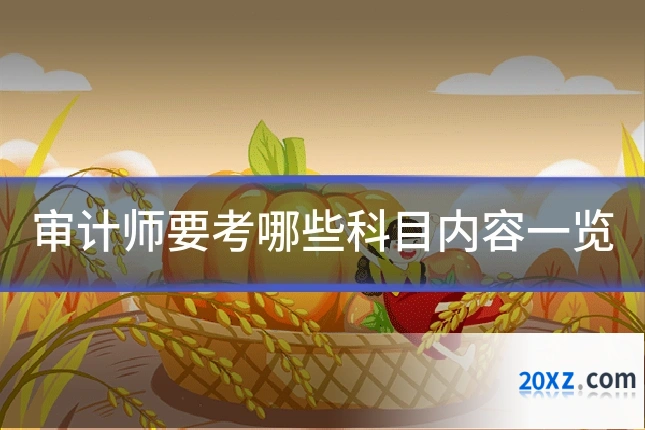 审计师要考哪些科目内容一览