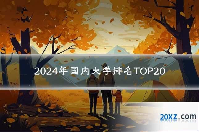 2024年国内大学排名TOP20