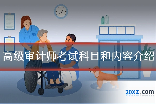 高级审计师考试科目和内容介绍