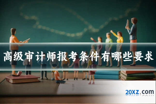 高级审计师报考条件有哪些要求