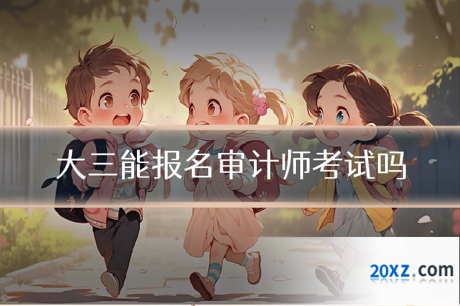 大三能报名审计师考试吗