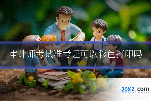 审计师考试准考证可以彩色打印吗