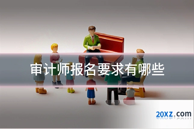 审计师报名要求有哪些