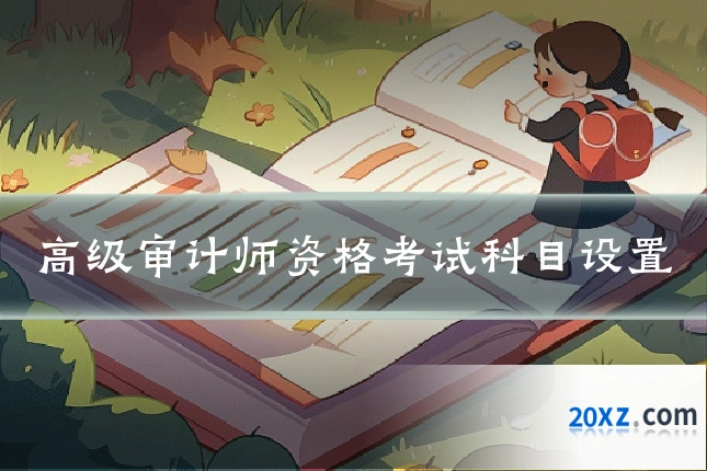 高级审计师资格考试科目设置