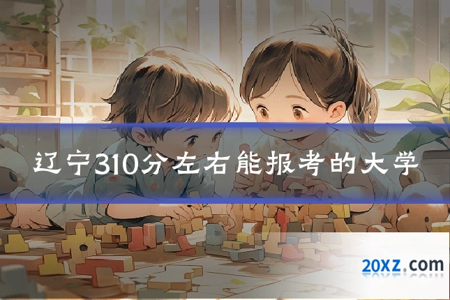 辽宁310分左右能报考的大学