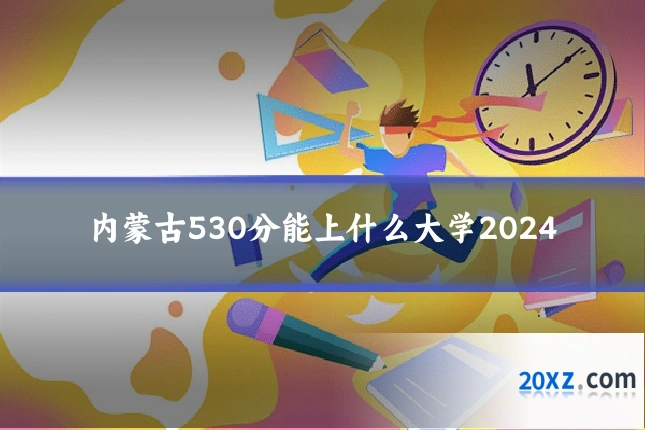 内蒙古530分能上什么大学2024