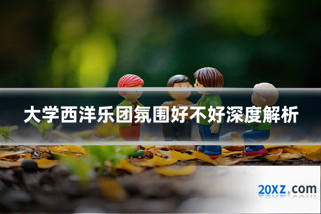 大学西洋乐团氛围好不好深度解析