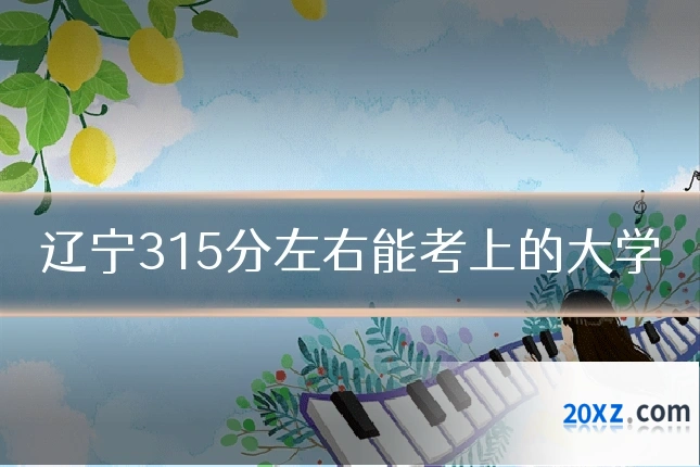 辽宁315分左右能考上的大学