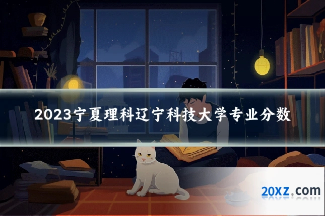 2023宁夏理科辽宁科技大学专业分数