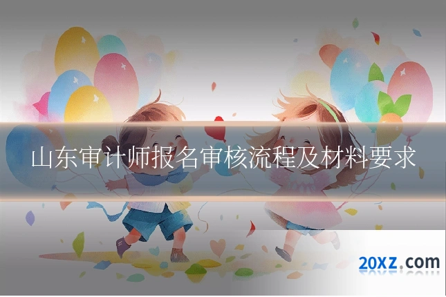 山东审计师报名审核流程及材料要求
